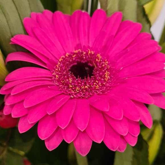 Meet your Posher, Maryam - Picture 1 of 1